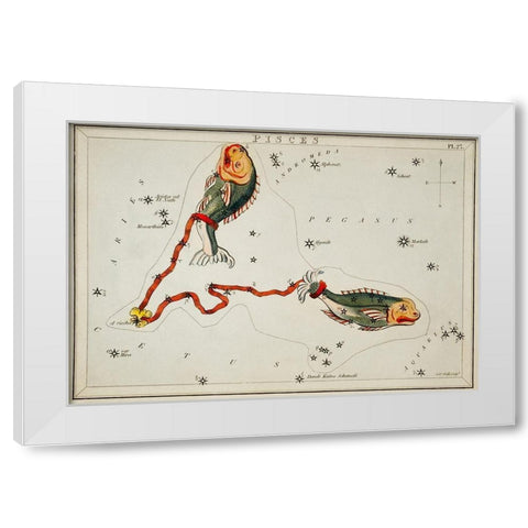 Astronomical chart illustration of the Pisces White Modern Wood Framed Art Print by Hall, Sidney