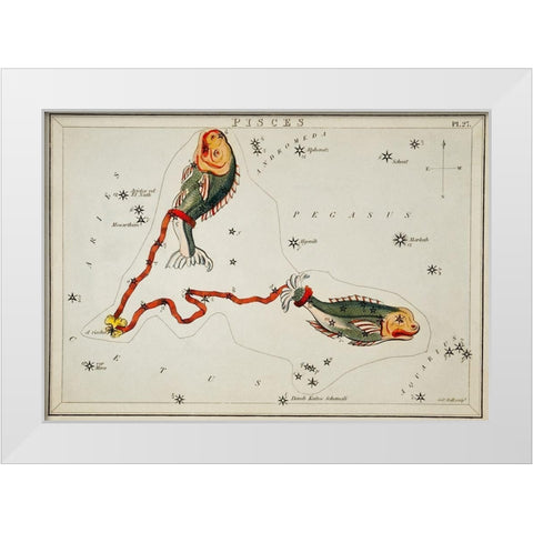Astronomical chart illustration of the Pisces White Modern Wood Framed Art Print by Hall, Sidney