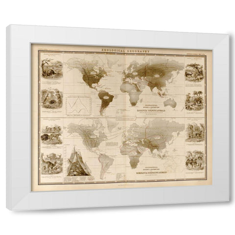 Zoological Geography Ruminants White Modern Wood Framed Art Print by Vintage Maps