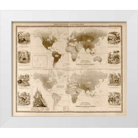 Zoological Geography Ruminants White Modern Wood Framed Art Print by Vintage Maps