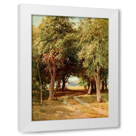 A Eucalyptus Grove-California 1914 White Modern Wood Framed Art Print by Palmer, Sutton