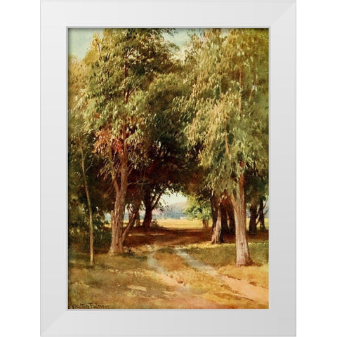 A Eucalyptus Grove-California 1914 White Modern Wood Framed Art Print by Palmer, Sutton