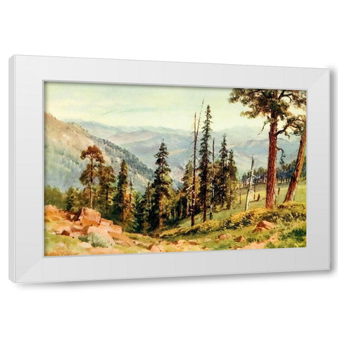 Redwoods of Great Twin Valleys-California 1914 White Modern Wood Framed Art Print by Palmer, Sutton