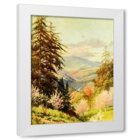 Santa Cruz mountain-the coast range-California 1914 White Modern Wood Framed Art Print by Palmer, Sutton