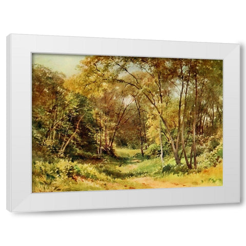Tall Chaparral-Santa Cruz-California 1914 White Modern Wood Framed Art Print by Palmer, Sutton