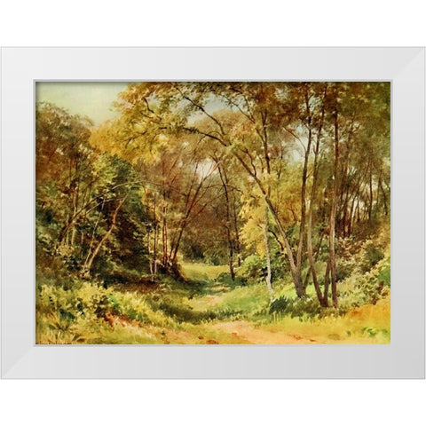 Tall Chaparral-Santa Cruz-California 1914 White Modern Wood Framed Art Print by Palmer, Sutton