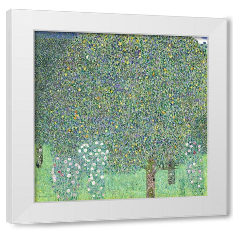 Rosebushes under the Trees White Modern Wood Framed Art Print by Klimt, Gustav