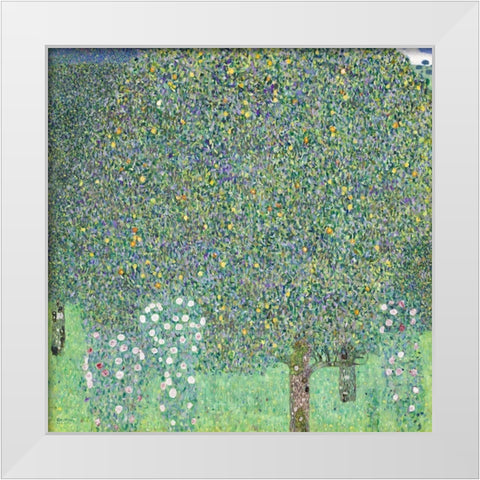 Rosebushes under the Trees White Modern Wood Framed Art Print by Klimt, Gustav
