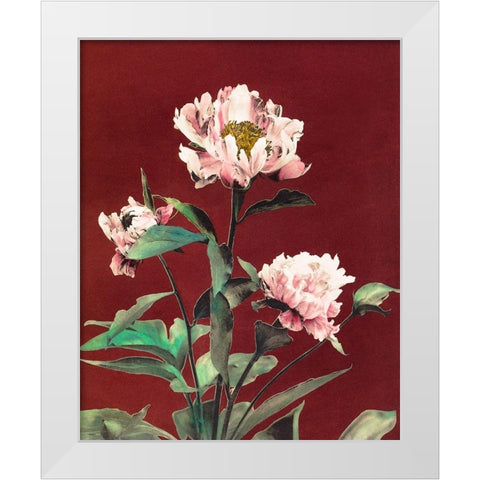 Haerdaceous Peony White Modern Wood Framed Art Print by Kazumasa, Ogawa