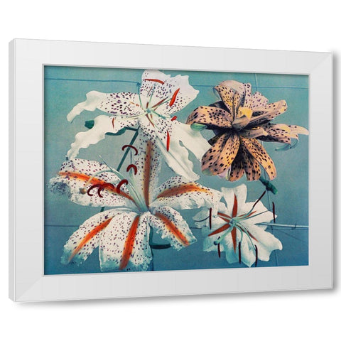 Lily II White Modern Wood Framed Art Print by Kazumasa, Ogawa