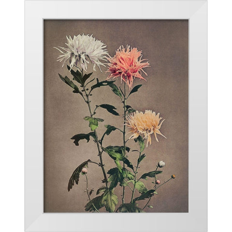 Kin Sui Ro White Modern Wood Framed Art Print by Kazumasa, Ogawa