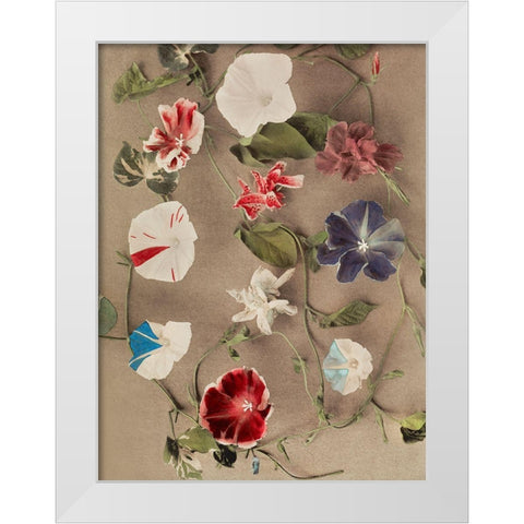 Group of Morning Glories White Modern Wood Framed Art Print by Kazumasa, Ogawa