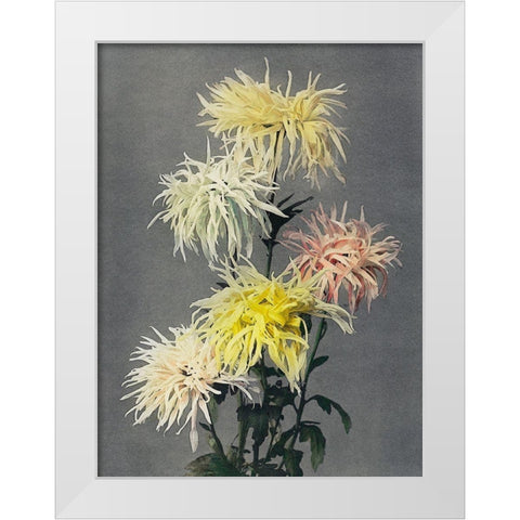 Nami Chi Dori White Modern Wood Framed Art Print by Kazumasa, Ogawa