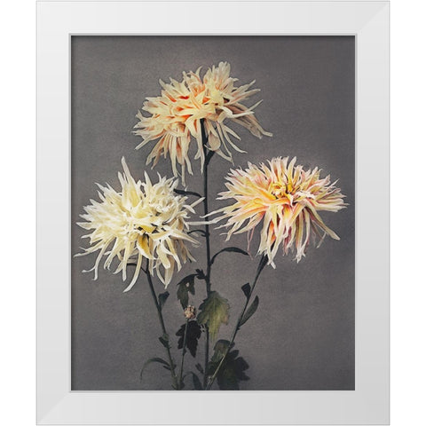 Imo se Yama White Modern Wood Framed Art Print by Kazumasa, Ogawa