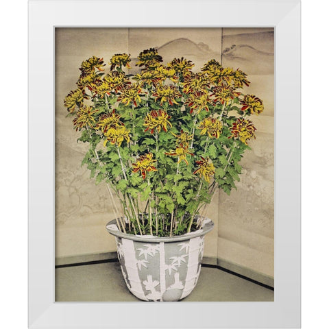 Chrysanthemum White Modern Wood Framed Art Print by Kazumasa, Ogawa