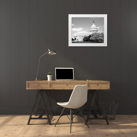 Capitol Hill Washington D.C. in cherry blossom season White Modern Wood Framed Art Print by Highsmith, Carol