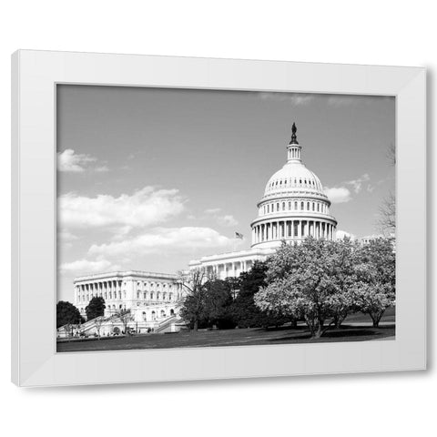 Capitol Hill Washington D.C. in cherry blossom season White Modern Wood Framed Art Print by Highsmith, Carol