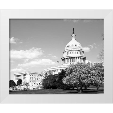 Capitol Hill Washington D.C. in cherry blossom season White Modern Wood Framed Art Print by Highsmith, Carol