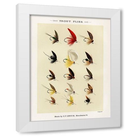 Trout Fishing Flies IV from Favorite Flies and Their Histories White Modern Wood Framed Art Print by Marbury, Mary Orvis