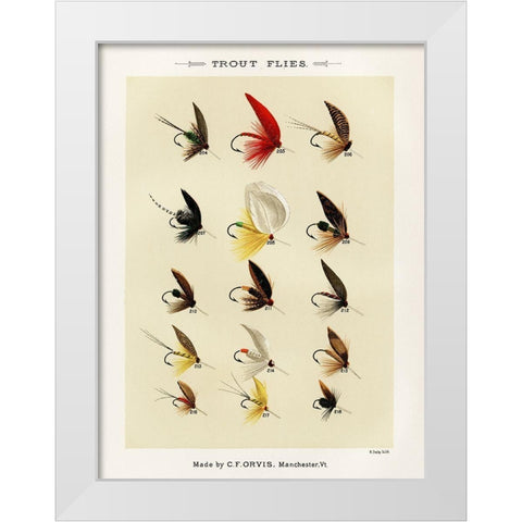 Trout Fishing Flies IV from Favorite Flies and Their Histories White Modern Wood Framed Art Print by Marbury, Mary Orvis