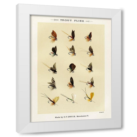 Trout Fishing Flies VII from Favorite Flies and Their Histories White Modern Wood Framed Art Print by Marbury, Mary Orvis
