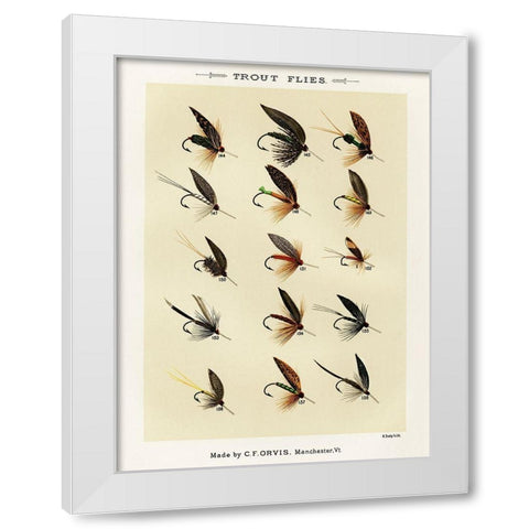 Trout Fishing Flies IX from Favorite Flies and Their Histories White Modern Wood Framed Art Print by Marbury, Mary Orvis