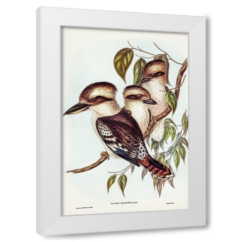 Great Brown Kingfisher-Dacelo gigantic White Modern Wood Framed Art Print by Gould, John