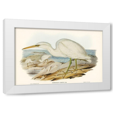 White Reef Heron-Herodias Greyi White Modern Wood Framed Art Print by Gould, John