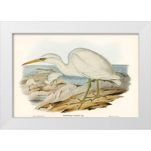 White Reef Heron-Herodias Greyi White Modern Wood Framed Art Print by Gould, John