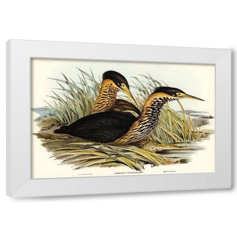 Yellow-necked Bittern-Ardetta flavicollis White Modern Wood Framed Art Print by Gould, John