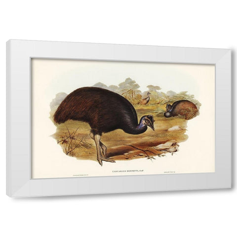 Bennetts Cassowary-Casuarius Bennetti White Modern Wood Framed Art Print by Gould, John