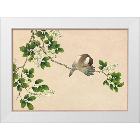 Preening Bird White Modern Wood Framed Art Print by Ruoai, Zhang