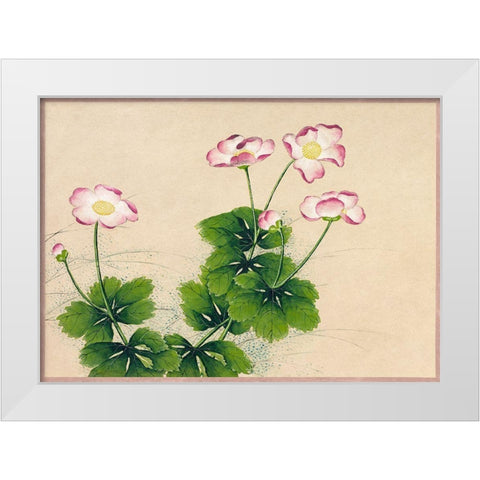 Mallow flowers White Modern Wood Framed Art Print by Ruoai, Zhang
