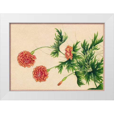 Peony White Modern Wood Framed Art Print by Ruoai, Zhang