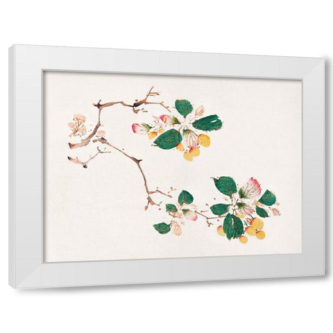 Page from Shi Zhu Zhai Golden Fruit White Modern Wood Framed Art Print by Zhengyan, Hu