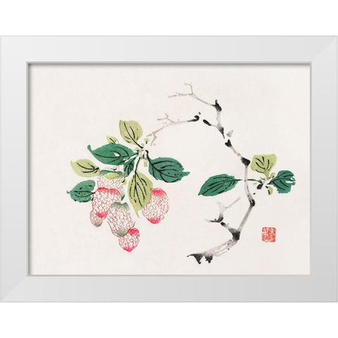 Page from Shi Zhu Zhai Red Fruit Bunch White Modern Wood Framed Art Print by Zhengyan, Hu