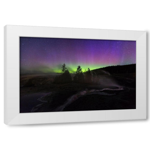Aurora borealis II, Upper Geyser Basin, Yellowstone National Park White Modern Wood Framed Art Print by The Yellowstone Collection