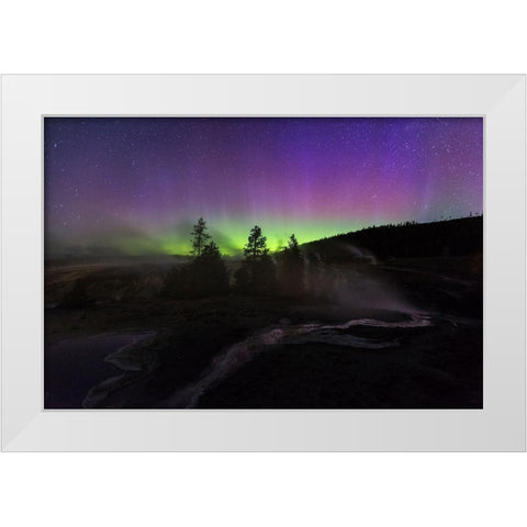 Aurora borealis II, Upper Geyser Basin, Yellowstone National Park White Modern Wood Framed Art Print by The Yellowstone Collection