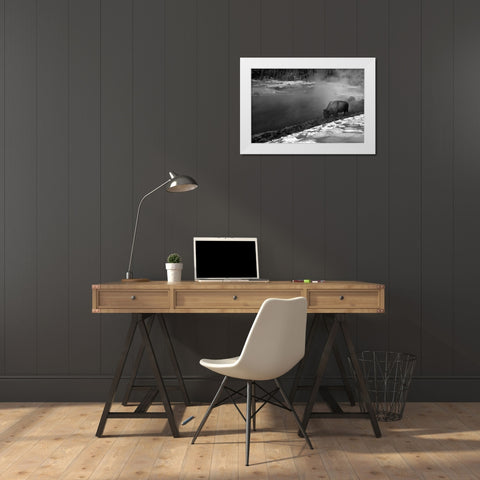 Bison at Terrace Spring, Yellowstone National Park White Modern Wood Framed Art Print by Peaco, Jim