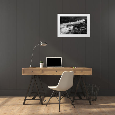 Gardner River below Osprey Falls, Yellowstone National Park White Modern Wood Framed Art Print by Frank, Jacob W.
