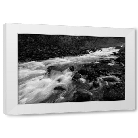 Gardner River below Osprey Falls, Yellowstone National Park White Modern Wood Framed Art Print by Frank, Jacob W.