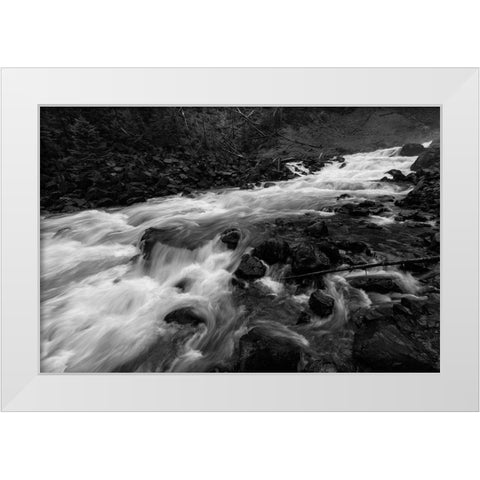 Gardner River below Osprey Falls, Yellowstone National Park White Modern Wood Framed Art Print by Frank, Jacob W.