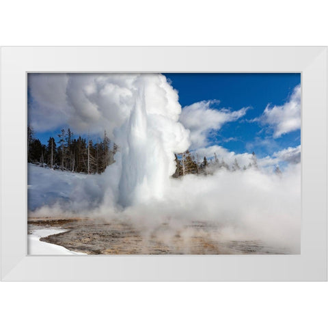 Grand Geyser Eruption, Yellowstone National Park White Modern Wood Framed Art Print by Frank, Jacob W.