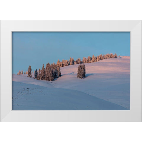 Last Light on Flanks of Bison Peak, Yellowstone National Park White Modern Wood Framed Art Print by The Yellowstone Collection