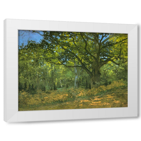Bodmer Oak at Bas-Breau 1865 White Modern Wood Framed Art Print by Monet, Claude