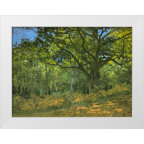 Bodmer Oak at Bas-Breau 1865 White Modern Wood Framed Art Print by Monet, Claude