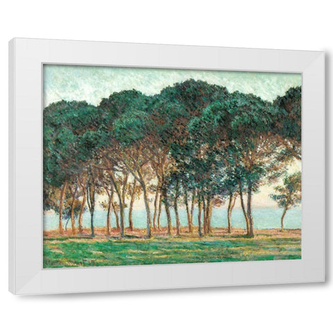 Umbrella Pines-Antibes 1888 White Modern Wood Framed Art Print by Monet, Claude
