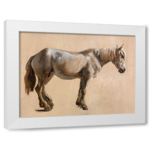 Study of a Grey Horse 1800 White Modern Wood Framed Art Print by Agasse, Jacques-Laurent