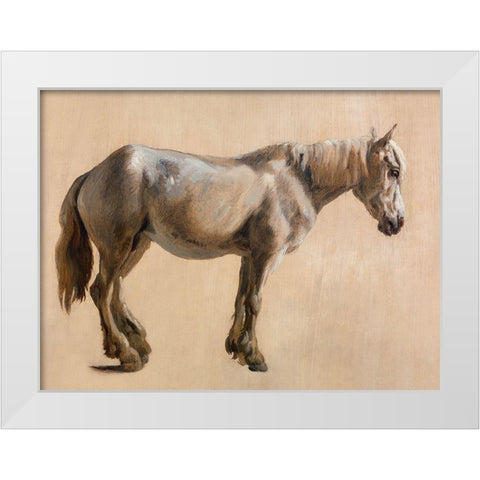 Study of a Grey Horse 1800 White Modern Wood Framed Art Print by Agasse, Jacques-Laurent