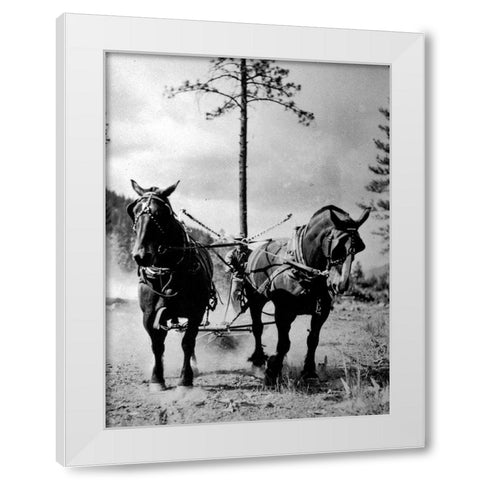 Eight Mile Fire Team White Modern Wood Framed Art Print by Vintage Photography